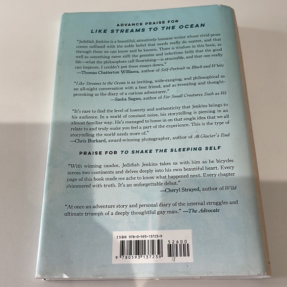 Like Streams to The Ocean by Jedidiah Jenkins - Picture 2 of 6